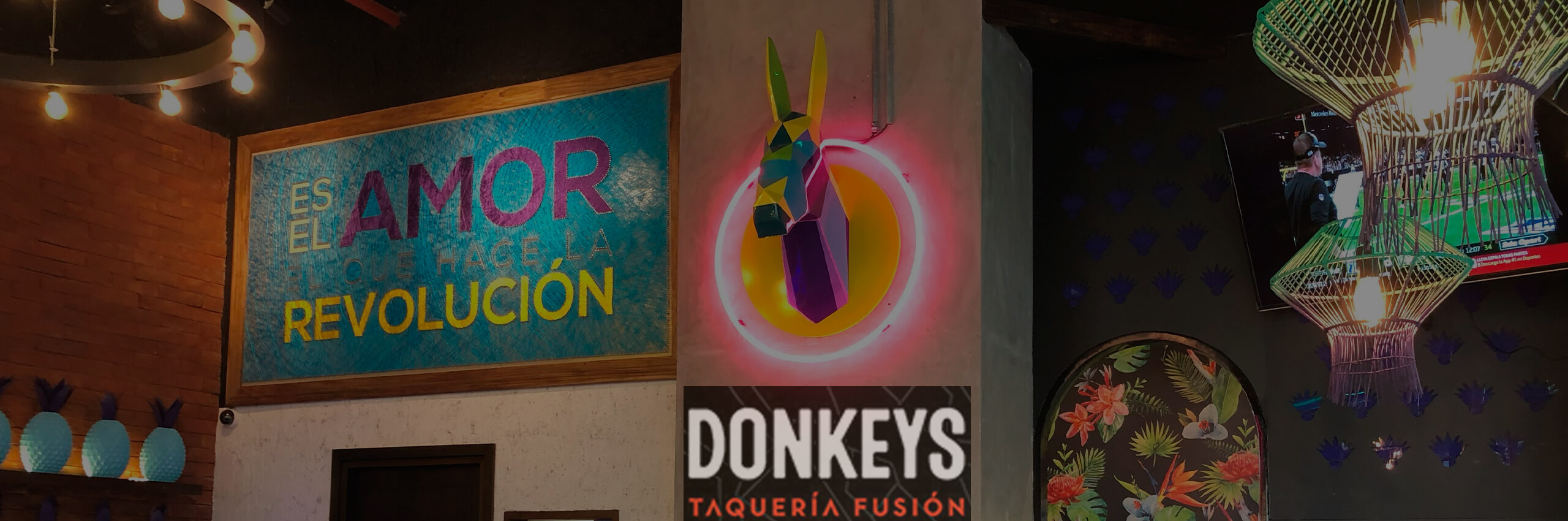 Donkeys Plaza Bambu MSAC
